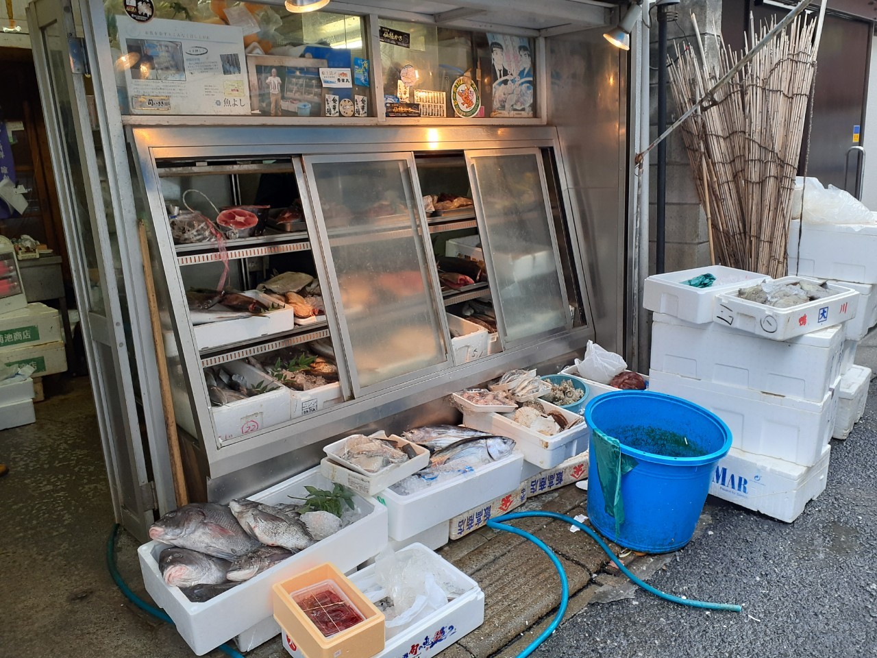 近く の 魚屋